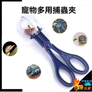 【台灣出貨】寵物捕蟲夾 糞便夾 爬蟲專用夾 爬寵活體夾 昆蟲蟋蟀杜比亞蟑螂鑷子 爬寵蜥蜴蜘蛛守宮餵食清理夾