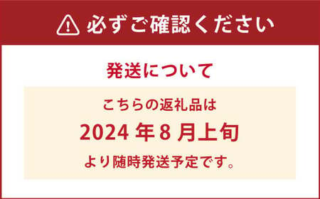 久住高原童心回帰農場の自然栽培フローズンブルーベリー1kg 冷凍 ブルーベリー