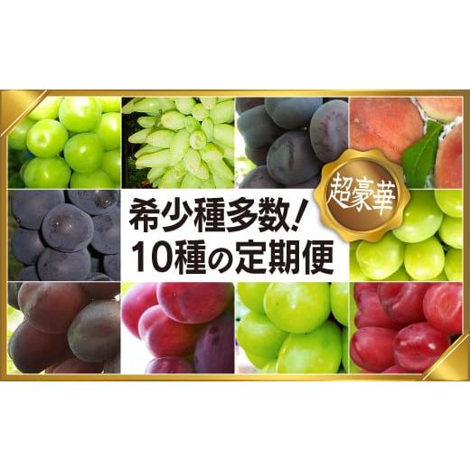 ふるさと納税 山梨県 笛吹市 ＜2024年先行予約＞山梨県笛吹市産日本一のフルーツの里から定期便コース（全10種） シャインマスカット ブラックシャイン など希…