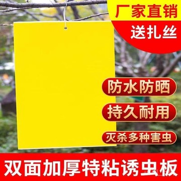 柑橘瓜果實蠅誘蟲闆針蜂黃闆雙麵粘蟲防蟲果園大棚薊馬小黑籃闆