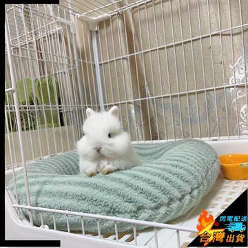【台灣出貨】兔子趴趴墊 兔兔躲避窩 侏儒兔墊子 垂耳兔窩 兔兔棉窩 兔子保暖窩 小寵睡窩 兔兔睡床 寵物睡墊