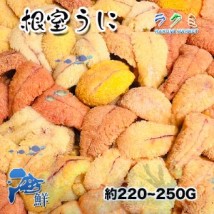 生ウニ 5p（１p約 220～250g） うに 北海道 ウニチャーハン 寿司