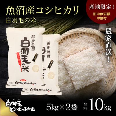 ふるさと納税 十日町市 令和5年産　農家直送!魚沼産こしひかり「白羽毛の米」精米5kg×2袋