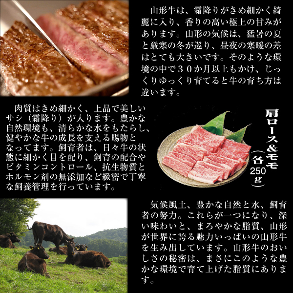 肉 牛肉 牛肩ロース 牛モモ ギフト 500g 焼き肉 山形牛