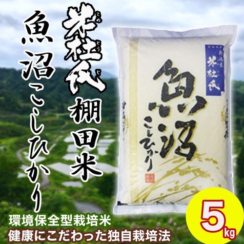 お米 米 魚沼産 棚田米 こしひかり 5kg 米杜氏ブランド 送料無料 令和5年産 単一原料米 精米 コシヒカリ 白米 新潟県産 米