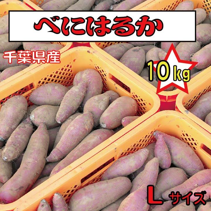 さつまいも 千葉県産 べにはるか 約10kg Lサイズ土付き