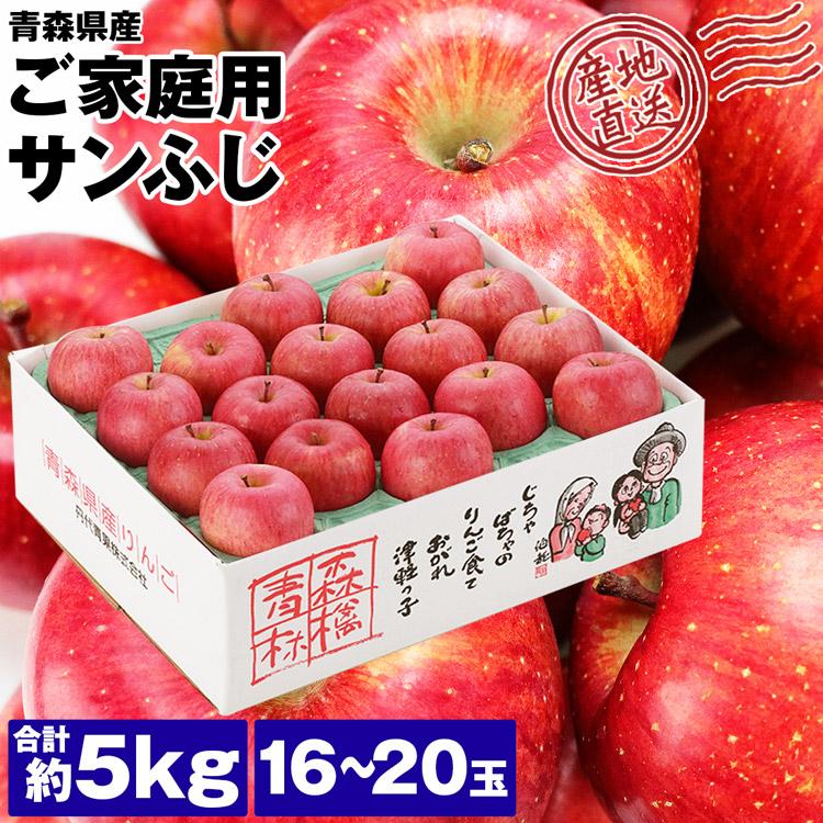 サンふじ 青森県産 ご家庭用 5kg 16〜20玉 りんご リンゴ 林檎 ふじりんご 青森りんご 産地直送 指定日不可 同梱不可 産直