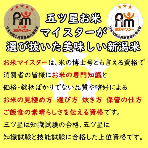 五ツ星お米マイスター厳選 新米 令和5年産 新潟県産 コシヒカリ 10kg (5kg×2) 白米（食味分析80点以上）精米仕立て 産地直送 低温倉庫管理 お米 10kg 米 新潟米