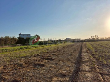 新屋文化路一般農 便宜農保田｜桃園市新屋區大牛欄