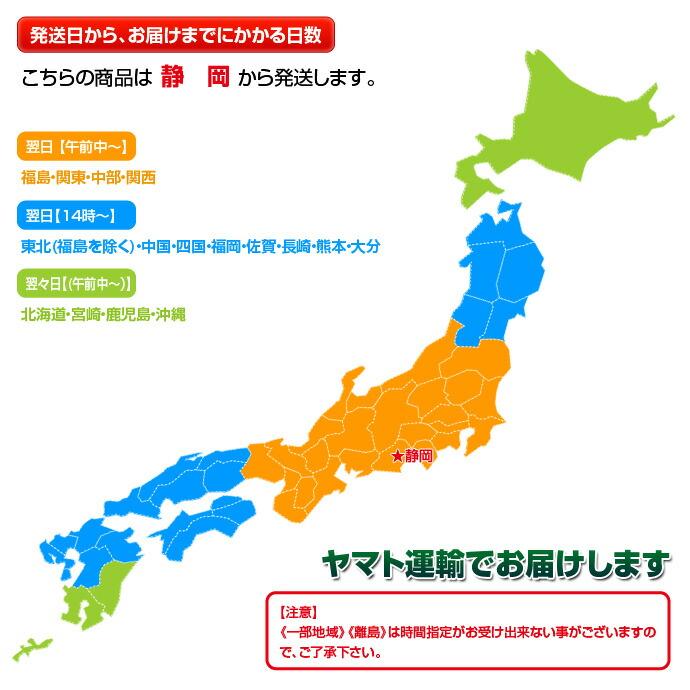 築地市場の卸の社食「ミナミマグロ　切り落とし」　約250g×5パック　※冷凍 送料無料