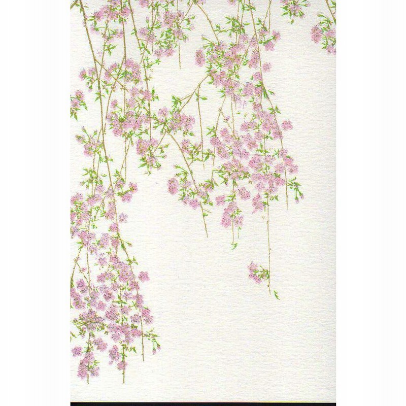 はがき ポストカード 絵葉書 桜 2021年 春 新作 花 和風 季節