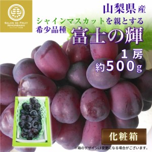 [最短順次発送]  富士の輝 1房 500g 大粒 化粧箱 ぶどう ブドウ 葡萄 富士の輝き 山梨県 笛吹 夏ギフト お中元 御中元