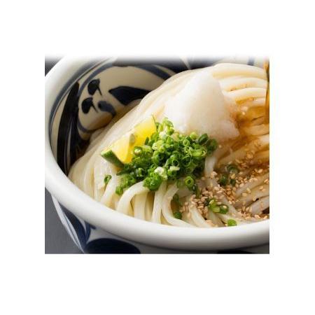 ふるさと納税 純生讃岐うどん（10人前、つゆ付） 香川県多度津町