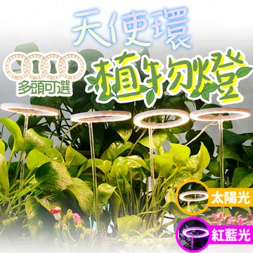 台灣出貨🔥天使環植物燈 紅藍燈 生長燈 水草燈 植物生長燈 植物日照燈 植物燈管 多肉燈 補光燈 夾燈 燈管 盆栽燈