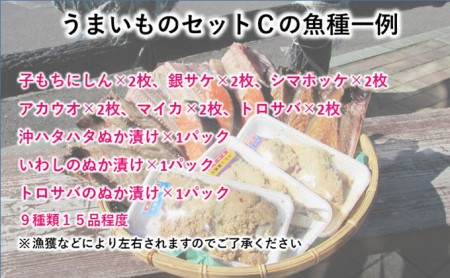 秋田の干物セットC（9種 セット 人気 詰合せ 詰め合わせ さば カレイ 鮭）