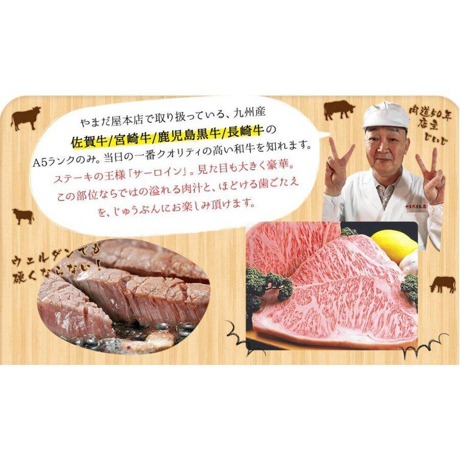 最高級 A5 サーロインステーキ 500g (250g×2枚) 宮崎牛 佐賀牛   父の日 ギフト 肉 食べ物 黒毛和牛 牛 サーロイン