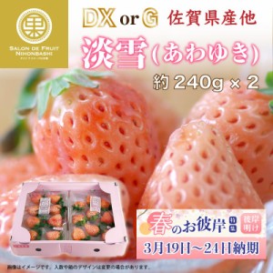 [予約 2024年2月11日-2月14日の納品] バレンタインデー あわゆき 淡雪 いちご 大粒サイズ DX または G 約240g×2 佐賀県産ほか 苺 いちご