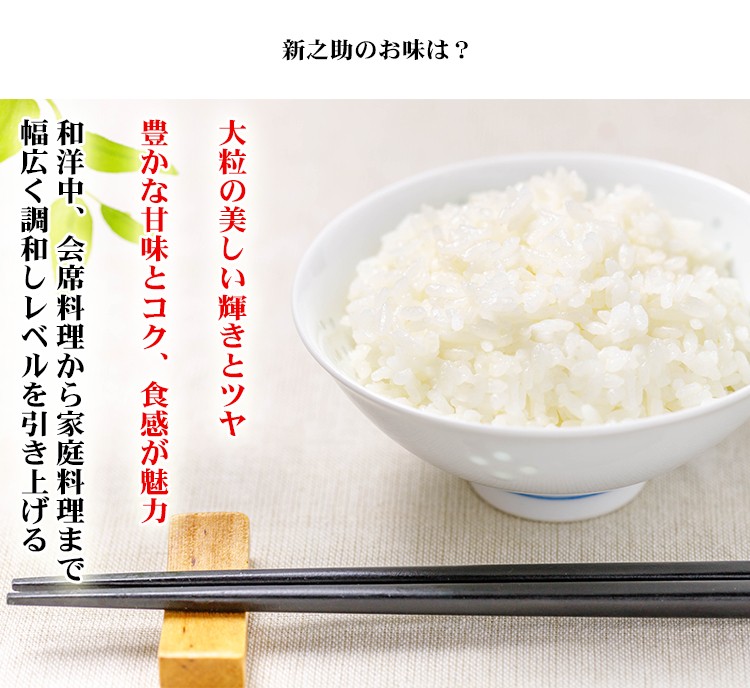 新米 無洗米 10kg 送料無料 新之助 しんのすけ 5kg×2袋 新潟県産 令和5年産 1等米 新之助 しんのすけ お米 10キロ 安い 送料無料