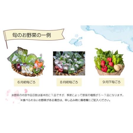 ふるさと納税 無農薬 野菜 おまかせ セット 5〜7品 香川県さぬき市