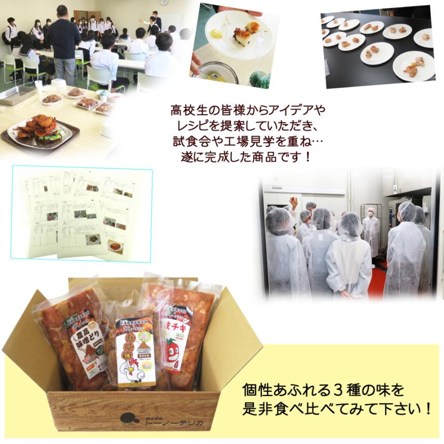 (冷凍) 岐阜県東濃３高校×トーノーデリカ　恵那どり詰合せ   鶏肉 味付肉 鶏もも肉 手羽先
