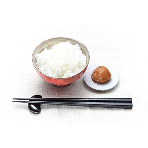 新米 コシヒカリ 白米 5kg 令和5年 滋賀県産 米 お米 環境こだわり米 80