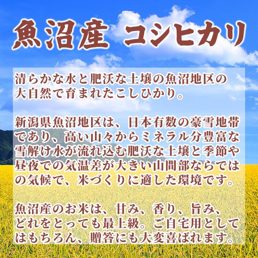 セール 新米 令和5年産 魚沼産 コシヒカリ 5kg 国産 新潟県産 こしひかり お米 白米 米 ヘルシー＆スマイル