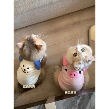 貓咪夏季薄款透氣背心藍金漸層布偶小貓德文貓寵物防掉毛夏...