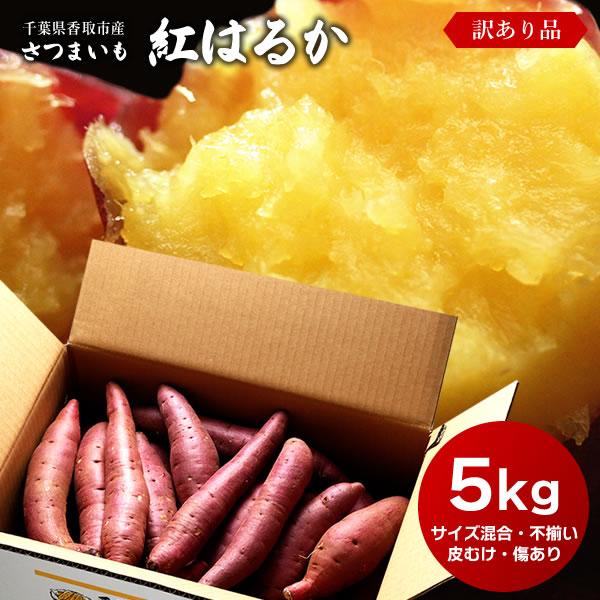 訳あり さつまいも 紅はるか 5kg 送料無料 サツマイモ さつま芋 千葉県産 国産