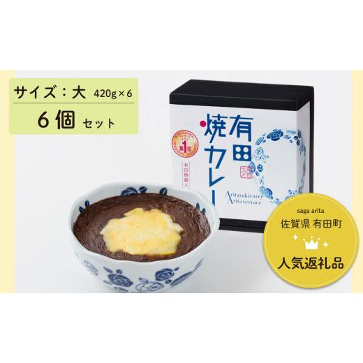 ふるさと納税 佐賀県 有田町 F40-6有田焼カレー(大)6個セット