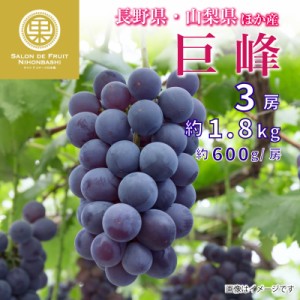 [最短順次発送]   巨峰 ぶどう 3房 約1.8kg 約600g×3 長野県 山梨県他 化粧箱  の味覚 ブドウ 葡萄 ぶどう 秋ギフト  果実ギフト