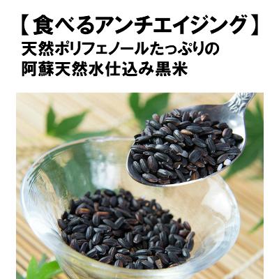 熊本産菊池産黒米もち麦Ｗブレンド500g　無・減農薬栽培、完全無添加　無着色、残留農薬ゼロ　古代米　もち麦　雑穀米　熊本県産　国産