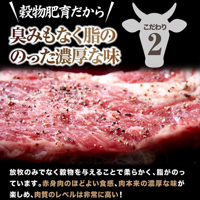 牛肩ロース熟成肉1ポンドステーキ(450g）冷凍 送料無料