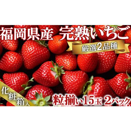 ふるさと納税 いただきいちご園の食べ比べ 厳選2品種 粒ぞろいの15玉入り 福岡県小郡市