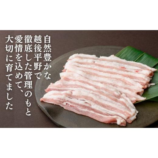 ふるさと納税 新潟県 新潟市 和豚もちぶた バラ しゃぶしゃぶ用 1kg