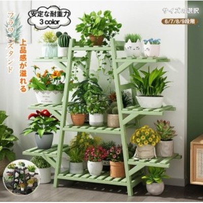 植物棚植木の検索結果 | LINEショッピング