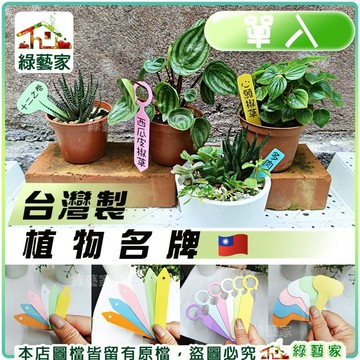 【綠藝家】台灣製植物名牌-單入 // 花牌 標示牌 植物牌 植物標籤 防水防曬 多肉標籤 多肉 鹿角蕨 名牌