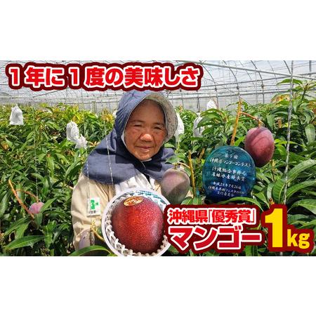 ふるさと納税 芳醇な香り　とろける食感　沖縄県「優秀賞」マンゴー1kg 沖縄県南風原町