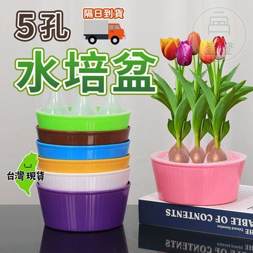 【隔日到貨🔥植物水培盆 5孔 】水培器皿 水耕箱 水培種植箱 育苗箱 水培盆 無土水培 育苗杯