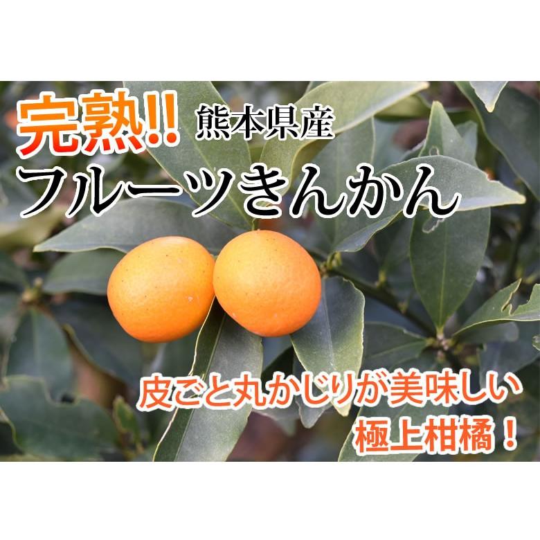金柑 みかん 完熟フルーツきんかん 送料無料 1kg 2セット購入で1セットおまけ 熊本県産 ハウス栽培  柑橘