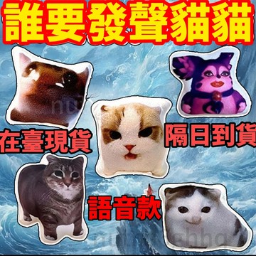 🔥台灣隔日達🔥【限時秒殺】德語小貓語音掛件柏林之聲貓希特喵喵髮聲玩偶鑰匙扣 鑰匙圈 鑰匙扣 狸花貓掛件 痞老板掛件
