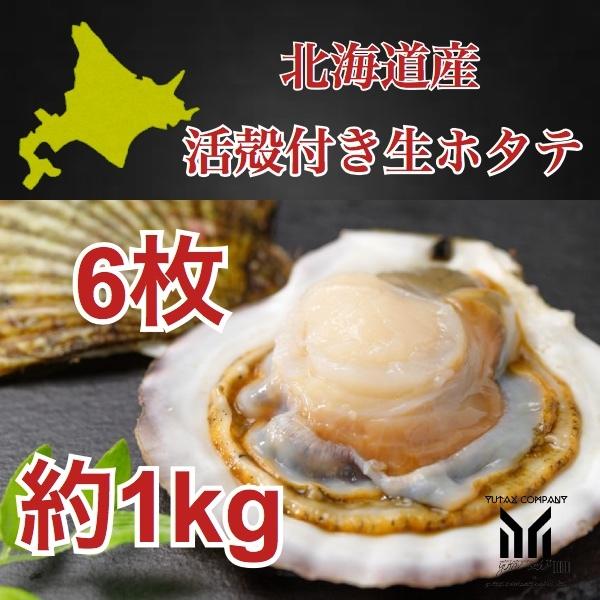 北海道産　殻付き　生ホタテ　6枚　約1kg 貝付き　帆立