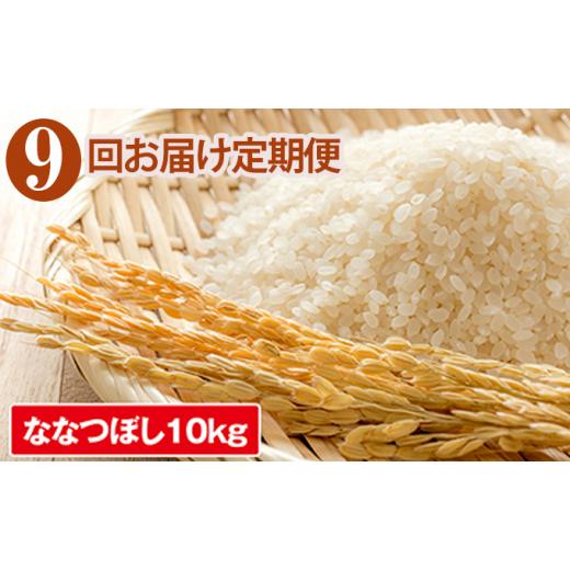 ふるさと納税 北海道 共和町 ◆9ヶ月連続定期便◆JAきょうわ米  ななつぼし10kg