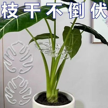 旗艦優品🌹龜背竹支撐杆花架枝幹收攏架植物防倒伏支架綠植固定神器園藝用品JNH