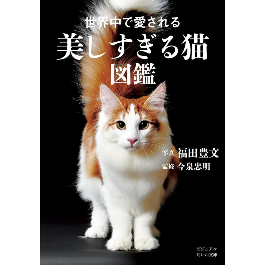 世界中で愛される美しすぎる猫図鑑 電子書籍版   福田豊文 今泉忠明