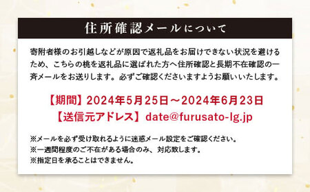 〈ワケあり〉伊達市産桃　あかつき小玉 青秀　約5kg（20～22玉） F20C-585