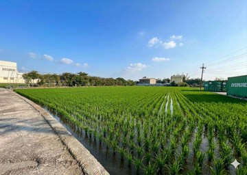 神岡國豐段潛力地都計內農地｜台中市神岡區國豐段