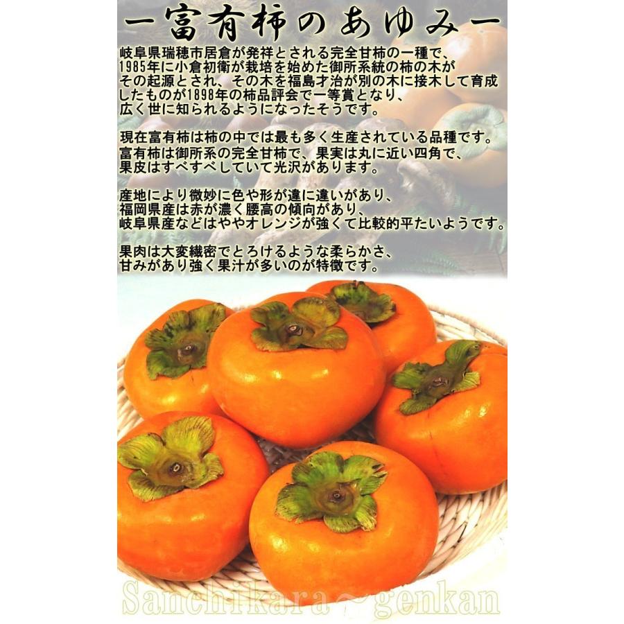 富有柿 ふゆうがき 約3.75kg 10〜18玉 和歌山県産中心 贈答規格 生産量の最も多い人気の甘柿！やわらかな食感に強い甘みと豊富な果汁