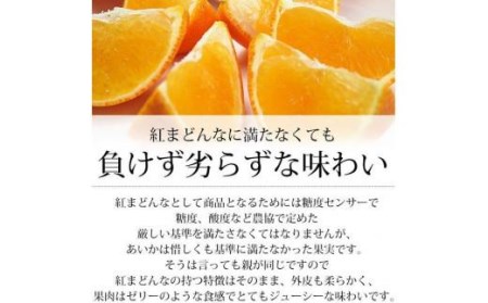 トロトロの果肉！あいか（愛媛果試第28号）5kg　ご家庭用