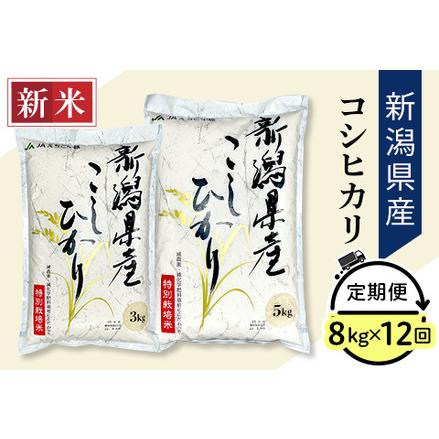 ふるさと納税 75-3N08Z新潟県長岡産コシヒカリ8kg（特別栽培米） 新潟