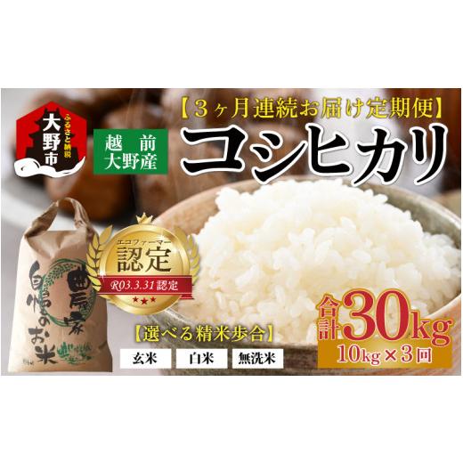 ふるさと納税 福井県 大野市 越前大野産 エコファーマー認定農家栽培 こしひかり 玄米 10kg × 3回 計30kg